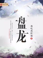 盘龙之圆满之上