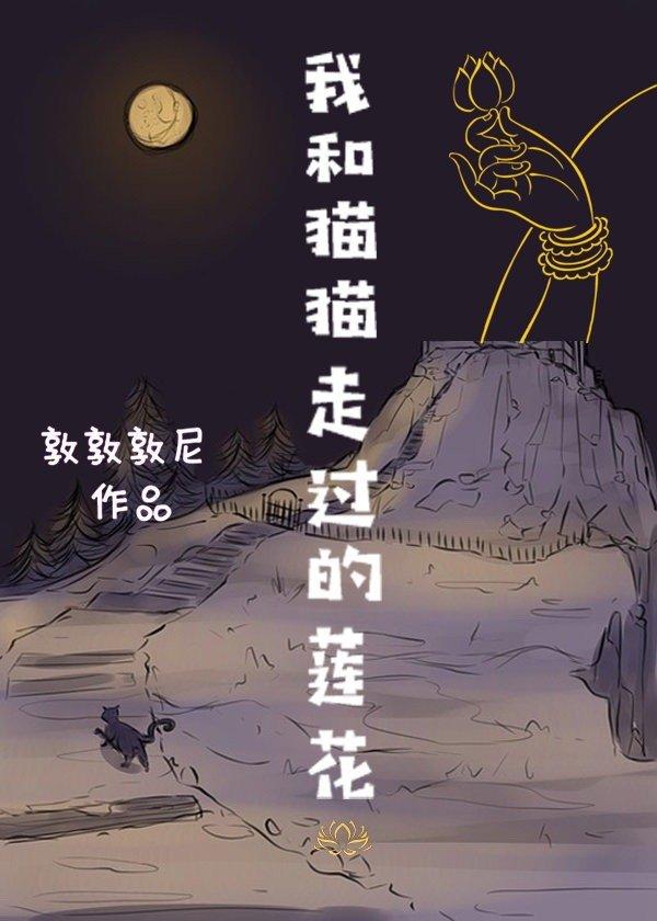 我和猫猫走过的莲花