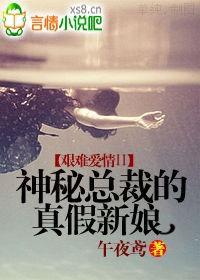 艰难爱情II:神秘总裁的真假新娘