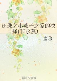 还珠之小燕子之爱的决择（非永燕）