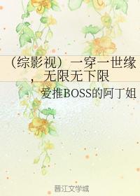 (综影视)一穿一世缘,无限无下限