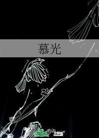 慕光