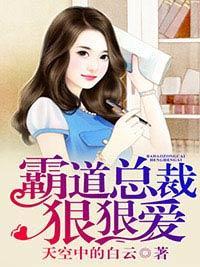 霸道总裁狠狠爱