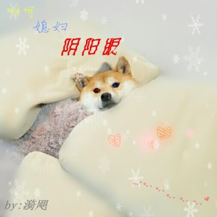 哟呵?媳妇阴阳眼?(GL)