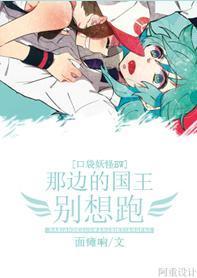 [口袋妖怪BW]那边的国王别想跑！