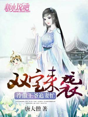 双宝来袭,冷傲王爷追妻忙