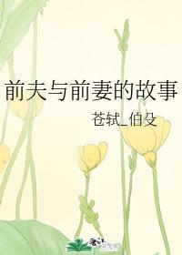 前夫与前妻的故事