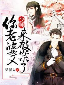 少帅,你老婆又来破案了
