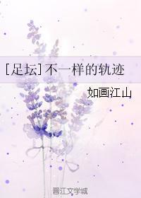 [足坛]不一样的轨迹