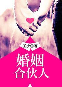 婚姻合伙人