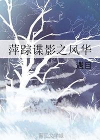 萍踪谍影之风华