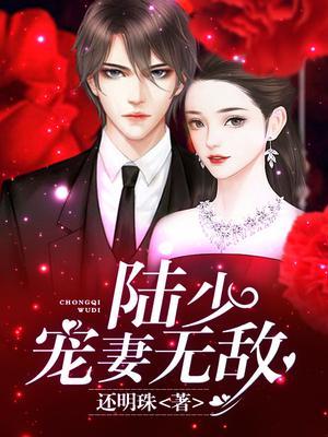 陆少，宠妻无敌!