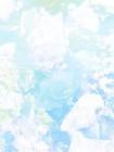 领证前一周，未婚夫和师姐结了婚